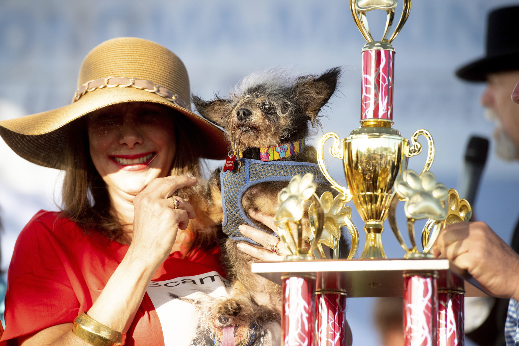 Worlds Ugliest Dog